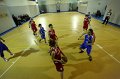 Basket 443111